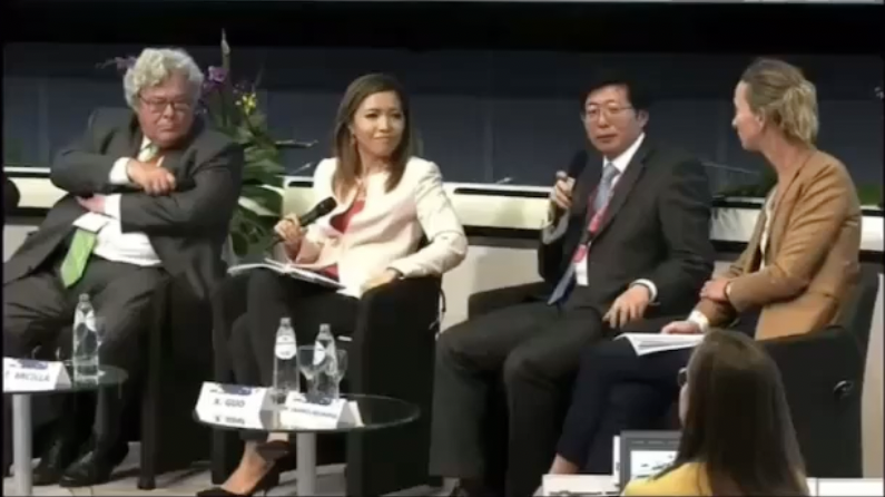 Moderating EU panel